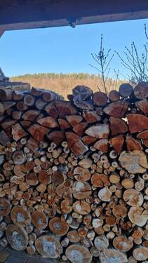 WhatsApp Image 2026-01-07 at 13.18.23.jpeg - 3 Zimmer Einfamilienhaus zum Kaufen in Bad Gottleuba-Berggießhübel