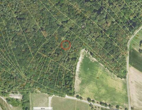 Lageplan1 - Grundstück - Waldfläche in Hilzingen-Schlatt zu verkaufen!