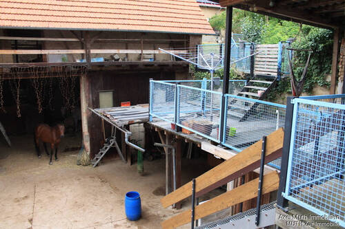 Aussicht vom Balkon - 
