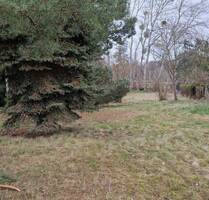 unbebautes Grundstück in Wustermark, OT Priort, An der Haarlake 12 b