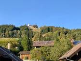 Blick auf den Hohen Peißenberg - 5 Zimmer Einfamilienhaus in Hohenpeißenberg