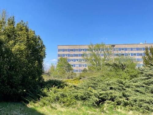 Blick zum Nachbar - 