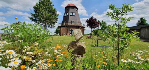 Mühle im Sommer - Galerieholländer-Mühle in Vorpommern - Liebhaberobjekt