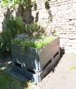 Garten - 