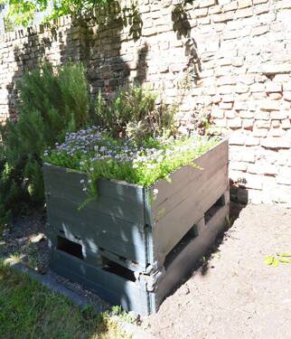 Garten - 
