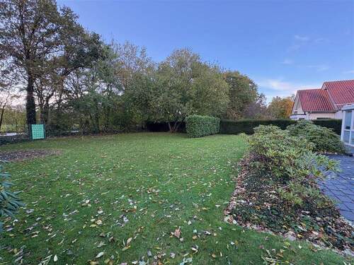 Blick in den Garten - 