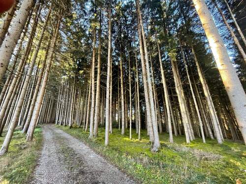 IMG_5450.JPG - Grundstück zum Kaufen in Baiern