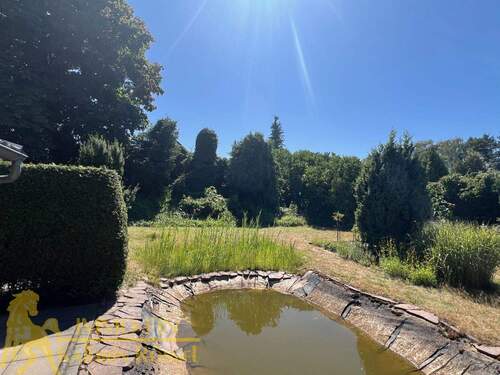 Gemeinschaftlicher Teich - 