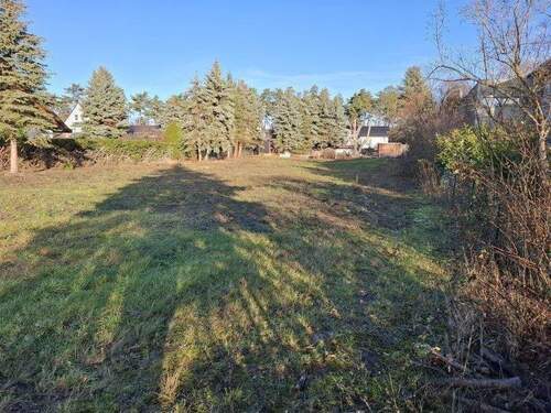 rechter Grundstücksseite von vorn - 