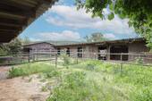 Stallungen - 