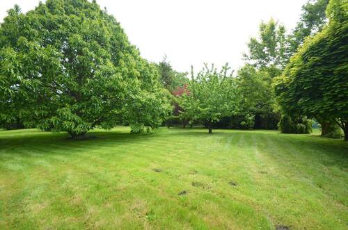 Garten - 
