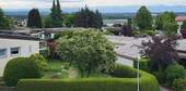 IMG-20250528-WA0005.jpg - 