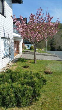 Doppelgarage - Einfamilienhaus mit 283,00 m&sup2; in Mengerskirchen-Dillhausen zum Kaufen