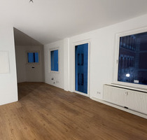 Zentral wohnen: frisch modernisierte 2-Zimmer-Wohnung mit Einbauküch - Fürth Innenstadt