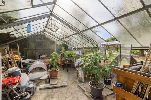 Gewächshaus - 
