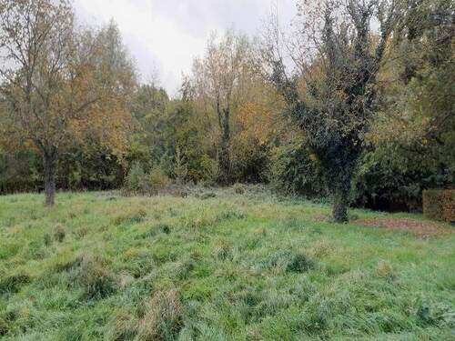 blick vorderseite grundstueck hinterer teil - Grundstück zum Kaufen in Minden