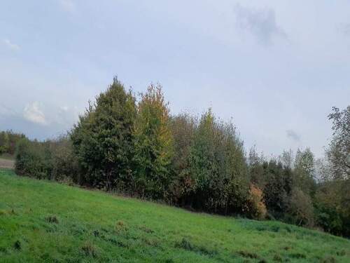 blickseite zum feld grundstueckteil - Grundstück in Minden