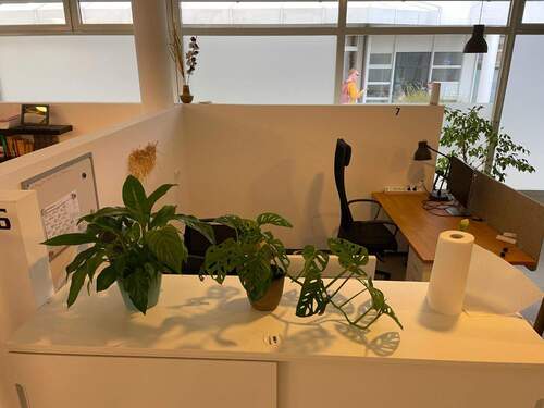 FixDesk Arbeitsplatz - Büro zur Miete in Freilassing