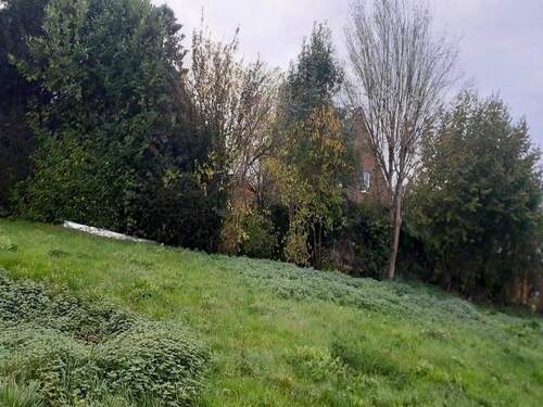 20251022 175405 copy 800x600 - Grundstück in gepflegter Wohnlage - ideal für ein Zuhause in ruhiger Umgebung