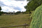 angrenzende Wiese - 