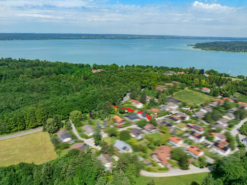 In guter Nachbarschaft - 