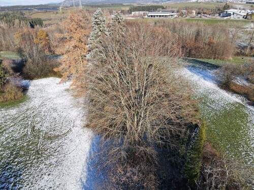 IMG_5661.JPG - Grundstück zum Kaufen in Aldingen