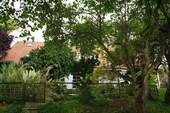 Natur pur - 