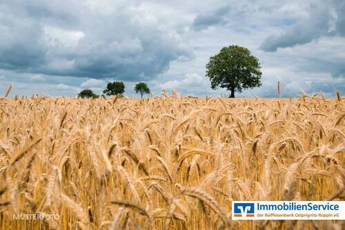 Bild 1 - 7 ha landwirtschaftliche Flächen zu verkaufen