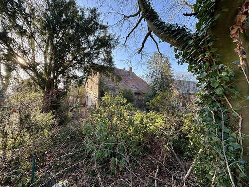 Ansicht vom hinteren Grundstück - 