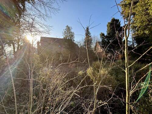 Ansicht vom hinteren Grundstück - 