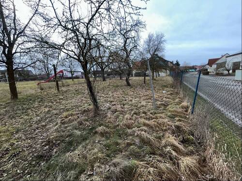 Garten gegenüber vom Wohnhaus. - 