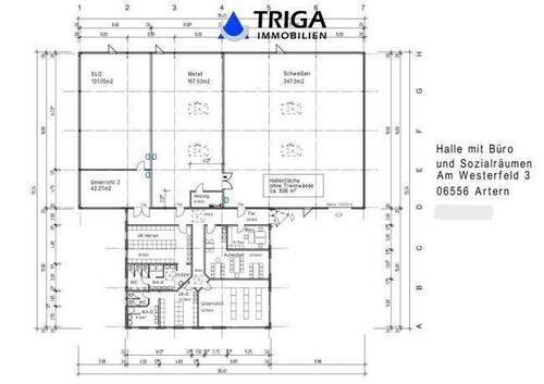 Hallen_Plan_artern - 