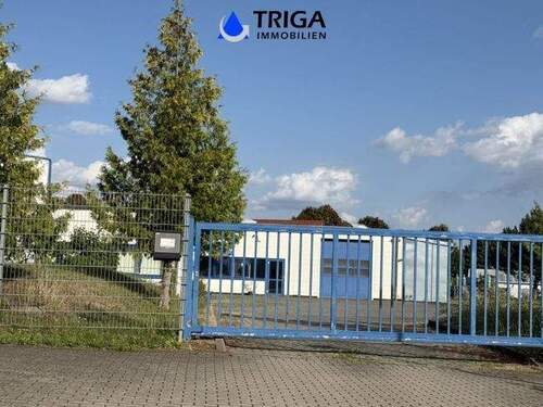 Bild 7 - 