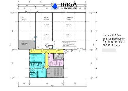 Hallen_Plan_gesamt - 