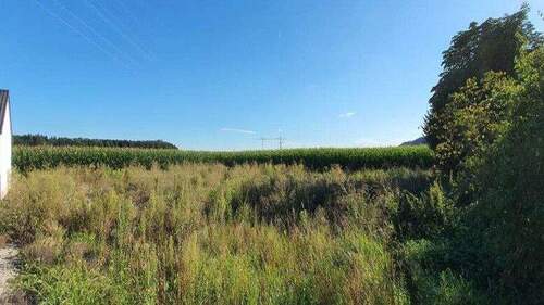 Baugrundstück Jettenbach - 