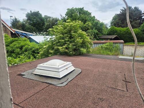 Nachbarn.jpg - 