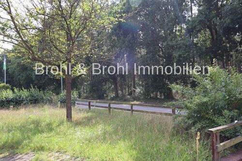 Vorgarten - 7 Zimmer Einfamilienhaus in Garstedt