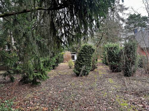 Blick aufs Grundstück - Sonniges Baugrundstück Bauträger frei