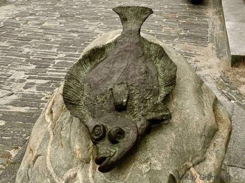 Hohwachter Strand: Flunder - 