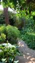 sommerliche Gartenimpression - 