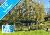 Gartenteich - 