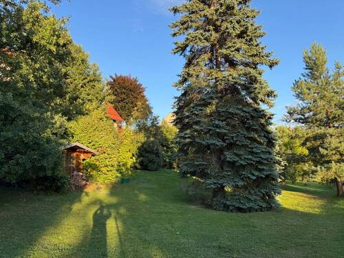 IMG_6484(1) - 