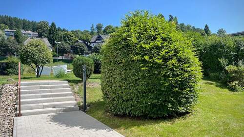 Neue Außenanlage mit viel Grün - 
