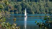 Als Ausflugsziel liegt der Schluchsee nur wenige Autominuten entfernt - 