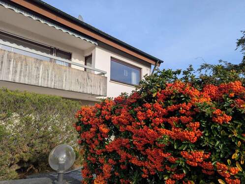 Eingangsbereich - 1 Zimmer Einfamilienhaus zum Kaufen in Mühlacker