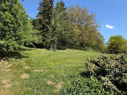 Bild 3 - 6 Zimmer Einfamilienhaus in Tengen-Blumenfeld