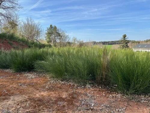 thumbnail_IMG_9441.jpg - Grundstück für EFH mit 2 Vollgeschossen in Burgthann-Grub