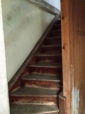 IMG_20241010_164859 - 