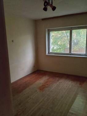 IMG_20241010_164932 - 