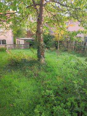 Bild 4 - Einfamilienhaus mit 250,00 m&sup2; in Schnaittenbach zum Kaufen